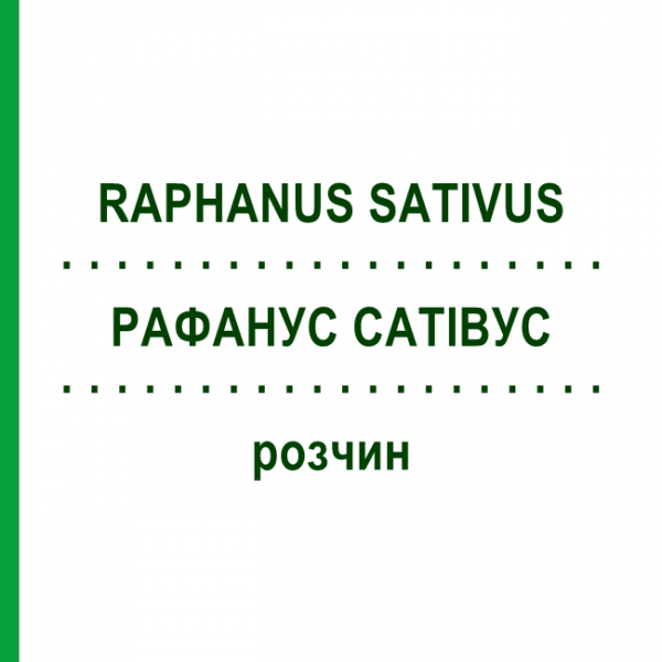 РАФАНУС САТИВУС (RAPHANUS SATIVUS) раствор 20 мл - Гомеопатия DHU