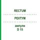 РЕКТУМ (RECTUM) D 15 ампулы 10x1 мл - Гомеопатия WALA HEILMITTEL