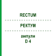 РЕКТУМ (RECTUM) D 4 ампулы 10x1 мл - Гомеопатия WALA HEILMITTEL