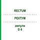 РЕКТУМ (RECTUM) D 6 ампулы 10x1 мл - Гомеопатия WALA HEILMITTEL
