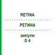 РЕТИНА (RETINA) D 4 ампулы 10x1 мл - Гомеопатия WALA HEILMITTEL