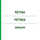РЕТИНА (RETINA) ампулы 10x1 мл - Гомеопатия WALA HEILMITTEL