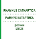 РАМНУС КАТАРТИКА (RHAMNUS CATHARTICA) LM 24 розчин 10 мл - Гомеопатія ARCANA DR.SEWERIN