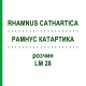 РАМНУС КАТАРТИКА (RHAMNUS CATHARTICA) LM 28 розчин 10 мл - Гомеопатія ARCANA DR.SEWERIN