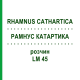 РАМНУС КАТАРТИКА (RHAMNUS CATHARTICA) LM 45 розчин 10 мл - Гомеопатія ARCANA DR.SEWERIN