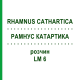 РАМНУС КАТАРТИКА (RHAMNUS CATHARTICA) LM 6 розчин 10 мл - Гомеопатія ARCANA DR.SEWERIN