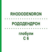 РОДОДЕНДРОН (RHODODENDRON) C 6 глобули 10 г - Гомеопатия DHU