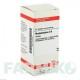 РОДОДЕНДРОН (RHODODENDRON) D 6 таблетки 80 шт - Гомеопатия DHU