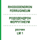 РОДОДЕНДРОН ФЕРРУГІНЕУМ (RHODODENDRON FERRUGINEUM) LM 1 розчин 10 мл - Гомеопатія ARCANA DR.SEWERIN