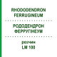 РОДОДЕНДРОН ФЕРРУГІНЕУМ (RHODODENDRON FERRUGINEUM) LM 100 розчин 10 мл - Гомеопатія ARCANA DR.SEWERIN