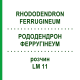 РОДОДЕНДРОН ФЕРРУГІНЕУМ (RHODODENDRON FERRUGINEUM) LM 11 розчин 10 мл - Гомеопатія ARCANA DR.SEWERIN