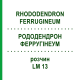 РОДОДЕНДРОН ФЕРРУГІНЕУМ (RHODODENDRON FERRUGINEUM) LM 13 розчин 10 мл - Гомеопатія ARCANA DR.SEWERIN