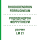 РОДОДЕНДРОН ФЕРРУГІНЕУМ (RHODODENDRON FERRUGINEUM) LM 21 розчин 10 мл - Гомеопатія ARCANA DR.SEWERIN