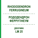 РОДОДЕНДРОН ФЕРРУГІНЕУМ (RHODODENDRON FERRUGINEUM) LM 25 розчин 10 мл - Гомеопатія ARCANA DR.SEWERIN