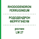 РОДОДЕНДРОН ФЕРРУГІНЕУМ (RHODODENDRON FERRUGINEUM) LM 27 розчин 10 мл - Гомеопатія ARCANA DR.SEWERIN