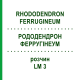 РОДОДЕНДРОН ФЕРРУГІНЕУМ (RHODODENDRON FERRUGINEUM) LM 3 розчин 10 мл - Гомеопатія ARCANA DR.SEWERIN