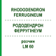 РОДОДЕНДРОН ФЕРРУГІНЕУМ (RHODODENDRON FERRUGINEUM) LM 60 розчин 10 мл - Гомеопатія ARCANA DR.SEWERIN