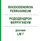 РОДОДЕНДРОН ФЕРРУГІНЕУМ (RHODODENDRON FERRUGINEUM) LM 7 розчин 10 мл - Гомеопатія ARCANA DR.SEWERIN
