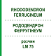 РОДОДЕНДРОН ФЕРРУГІНЕУМ (RHODODENDRON FERRUGINEUM) LM 75 розчин 10 мл - Гомеопатія ARCANA DR.SEWERIN