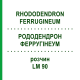 РОДОДЕНДРОН ФЕРРУГІНЕУМ (RHODODENDRON FERRUGINEUM) LM 90 розчин 10 мл - Гомеопатія ARCANA DR.SEWERIN