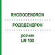 РОДОДЕНДРОН (RHODODENDRON) LM 100 розчин 10 мл - Гомеопатія ARCANA DR.SEWERIN