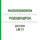 РОДОДЕНДРОН (RHODODENDRON) LM 11 розчин 10 мл - Гомеопатія ARCANA DR.SEWERIN