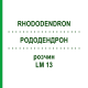 РОДОДЕНДРОН (RHODODENDRON) LM 13 розчин 10 мл - Гомеопатія ARCANA DR.SEWERIN