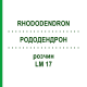 РОДОДЕНДРОН (RHODODENDRON) LM 17 розчин 10 мл - Гомеопатія ARCANA DR.SEWERIN