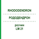 РОДОДЕНДРОН (RHODODENDRON) LM 21 розчин 10 мл - Гомеопатія ARCANA DR.SEWERIN