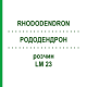 РОДОДЕНДРОН (RHODODENDRON) LM 23 розчин 10 мл - Гомеопатія ARCANA DR.SEWERIN