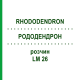 РОДОДЕНДРОН (RHODODENDRON) LM 26 розчин 10 мл - Гомеопатія ARCANA DR.SEWERIN