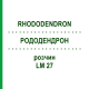 РОДОДЕНДРОН (RHODODENDRON) LM 27 розчин 10 мл - Гомеопатія ARCANA DR.SEWERIN