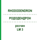 РОДОДЕНДРОН (RHODODENDRON) LM 3 розчин 10 мл - Гомеопатія ARCANA DR.SEWERIN