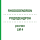 РОДОДЕНДРОН (RHODODENDRON) LM 4 розчин 10 мл - Гомеопатія ARCANA DR.SEWERIN
