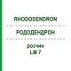 РОДОДЕНДРОН (RHODODENDRON) LM 7 розчин 10 мл - Гомеопатія ARCANA DR.SEWERIN