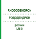 РОДОДЕНДРОН (RHODODENDRON) LM 9 розчин 10 мл - Гомеопатія ARCANA DR.SEWERIN