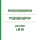 РОДОДЕНДРОН (RHODODENDRON) LM 90 розчин 10 мл - Гомеопатія ARCANA DR.SEWERIN