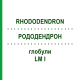 РОДОДЕНДРОН (RHODODENDRON) LM I глобули 5 г - Гомеопатия DHU