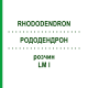 РОДОДЕНДРОН (RHODODENDRON) LM I раствор 10 мл - Гомеопатия DHU