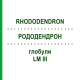 РОДОДЕНДРОН (RHODODENDRON) LM III глобули 5 г - Гомеопатия DHU