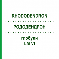 РОДОДЕНДРОН (RHODODENDRON) LM VI глобули 5 г - Гомеопатия DHU