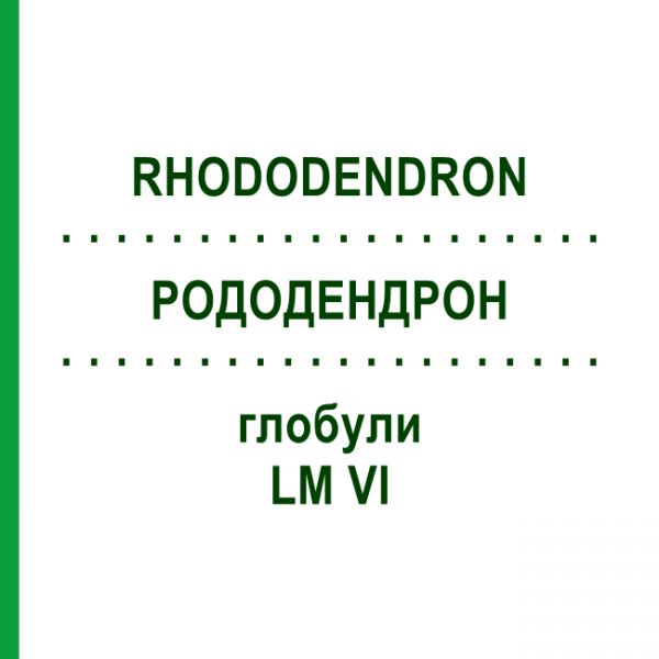 РОДОДЕНДРОН (RHODODENDRON) LM VI глобули 5 г - Гомеопатия DHU