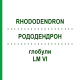 РОДОДЕНДРОН (RHODODENDRON) LM VI глобули 5 г - Гомеопатия DHU