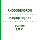 РОДОДЕНДРОН (RHODODENDRON) LM VI раствор 10 мл - Гомеопатия DHU
