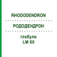 РОДОДЕНДРОН (RHODODENDRON) LM XII глобули 5 г - Гомеопатия DHU
