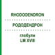 РОДОДЕНДРОН (RHODODENDRON) LM XVIII глобули 5 г - Гомеопатия DHU