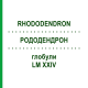 РОДОДЕНДРОН (RHODODENDRON) LM XXIV глобули 5 г - Гомеопатия DHU