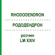 РОДОДЕНДРОН (RHODODENDRON) LM XXIV раствор 10 мл - Гомеопатия DHU