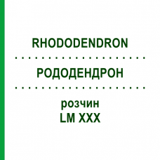 РОДОДЕНДРОН (RHODODENDRON) LM XXX раствор 10 мл - Гомеопатия DHU