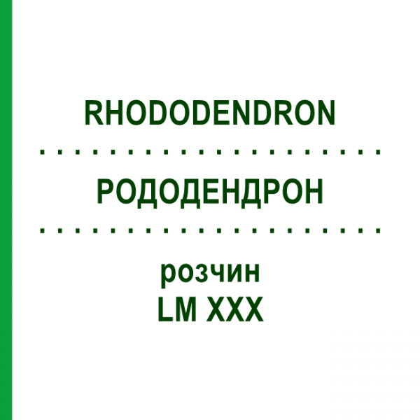 РОДОДЕНДРОН (RHODODENDRON) LM XXX раствор 10 мл - Гомеопатия DHU